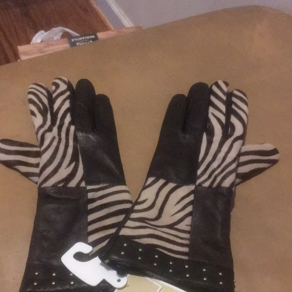 Brand New Michael Kors Gloves Brand New Michael Kors Gloves